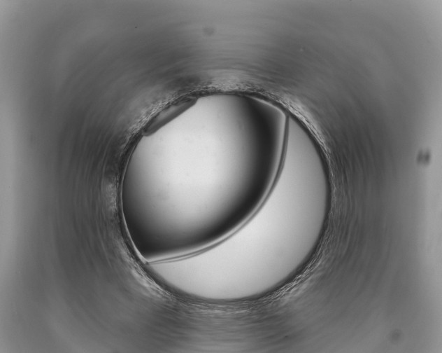 X0000090770393200707201119