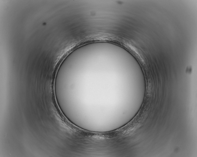 X0000090770394200707201119