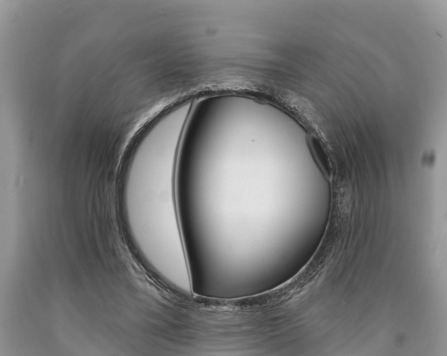 X0000090770395200707201118