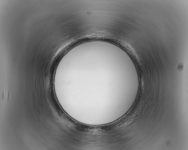 X0000090770396200707201118