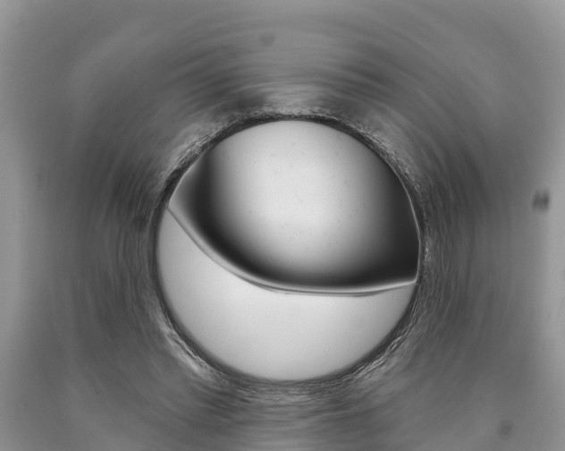 X0000090770397200707201118