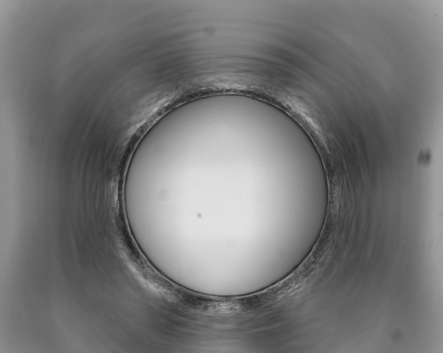 X0000090770398200707201118