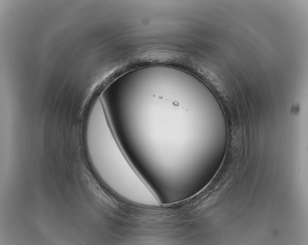 X0000090770399200707201118