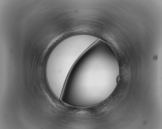 X0000090770400200707201118