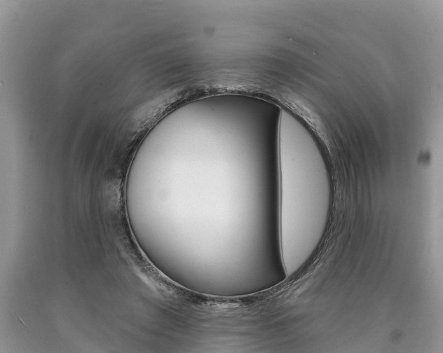 X0000090770401200707201118