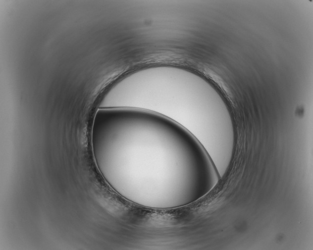 X0000090770403200707201118