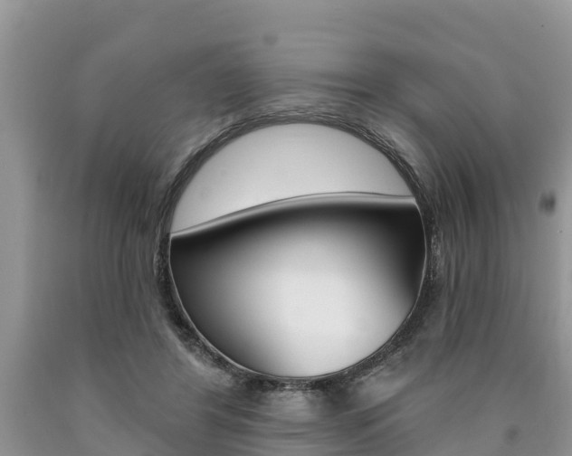 X0000090770404200707201118