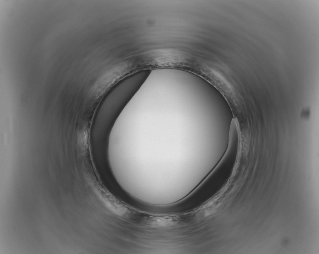 X0000090770405200707201118