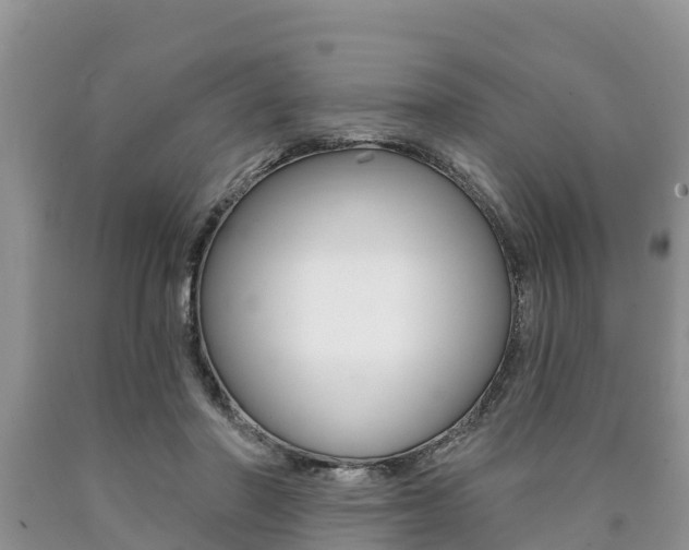 X0000090770406200707201118
