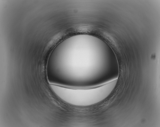 X0000090770407200707201118