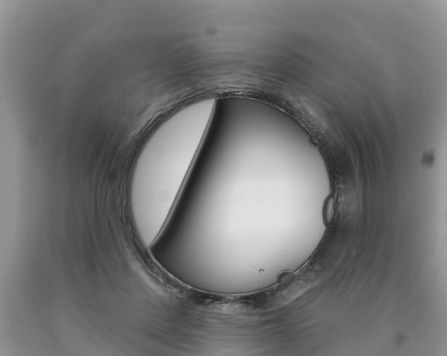 X0000090770408200707201118