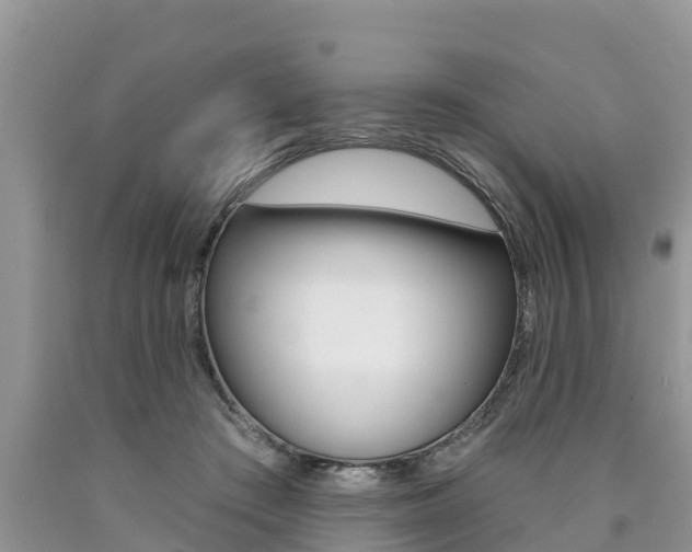 X0000090770409200707201118