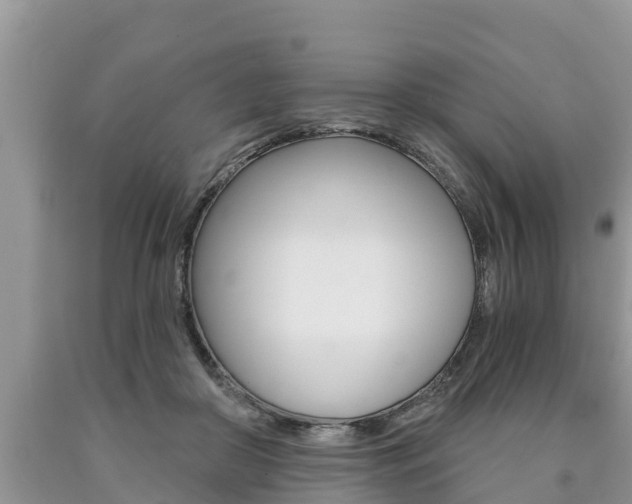X0000090770410200707201118