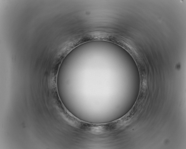 X0000090770411200707201118