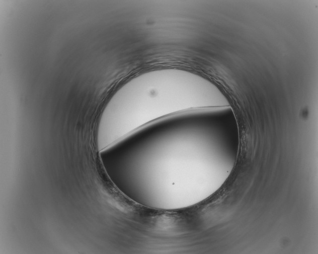X0000090770412200707201118
