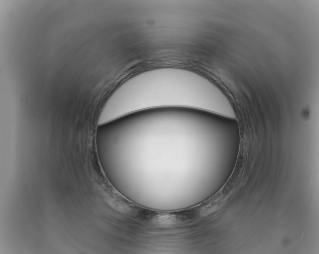 X0000090770413200707201118