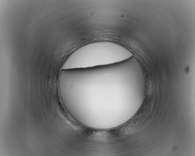 X0000090770414200707201118
