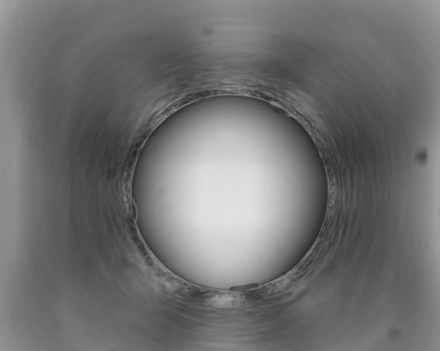 X0000090770415200707201118
