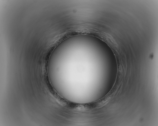 X0000090770416200707201118