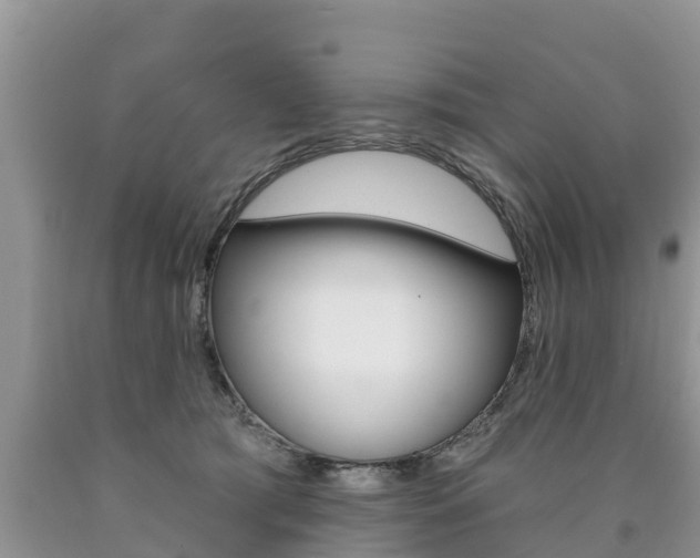 X0000090770417200707201118