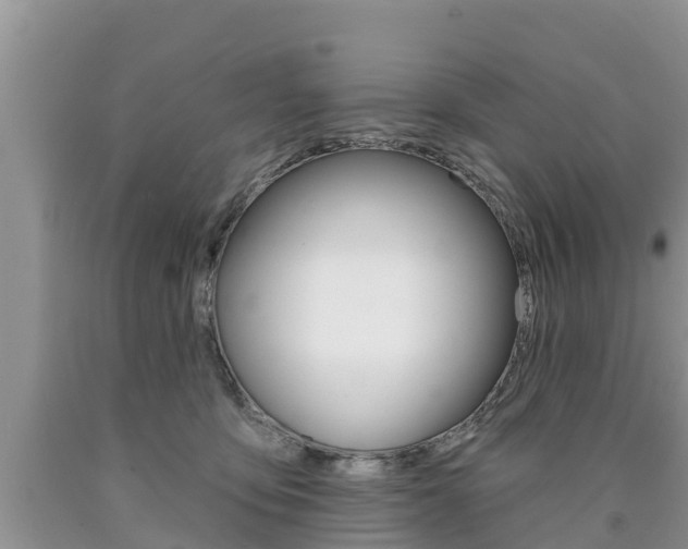 X0000090770419200707201118