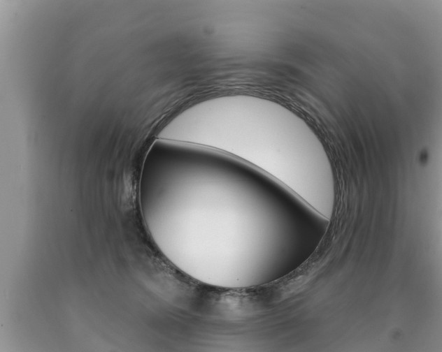 X0000090770420200707201118