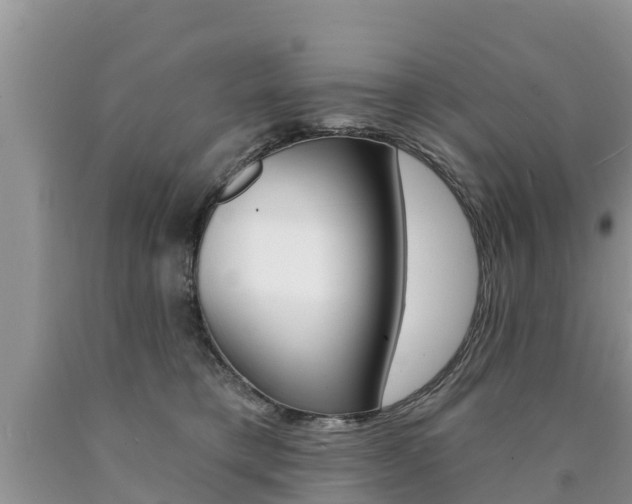 X0000090770421200707201118