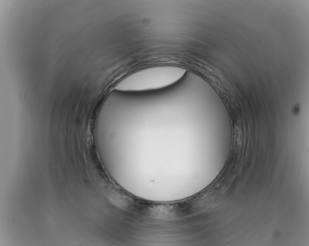X0000090770422200707201118