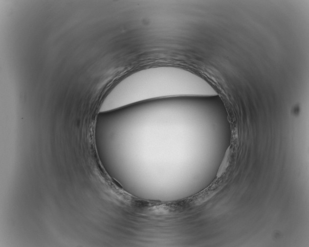 X0000090770423200707201118