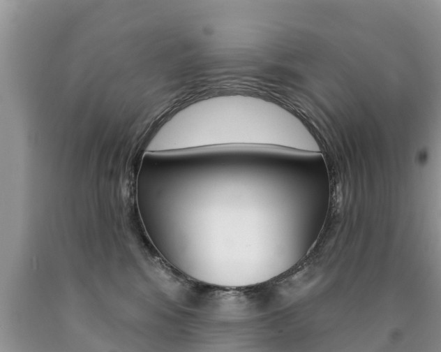 X0000090770424200707201118