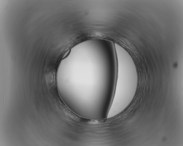 X0000090770425200707201118