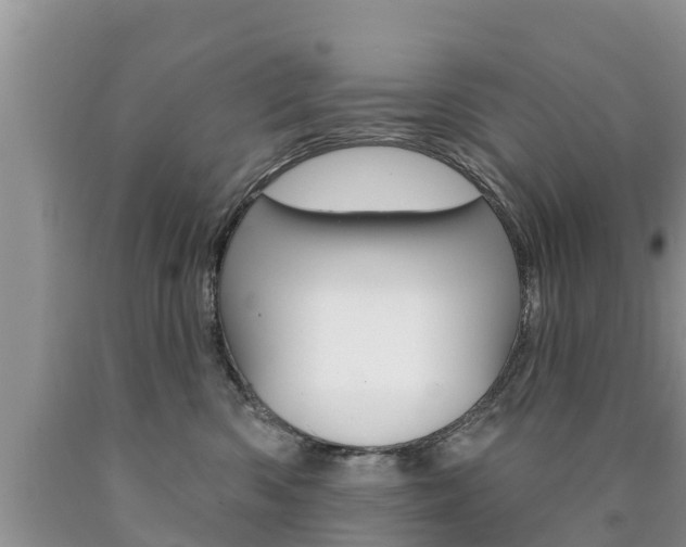 X0000090770426200707201118