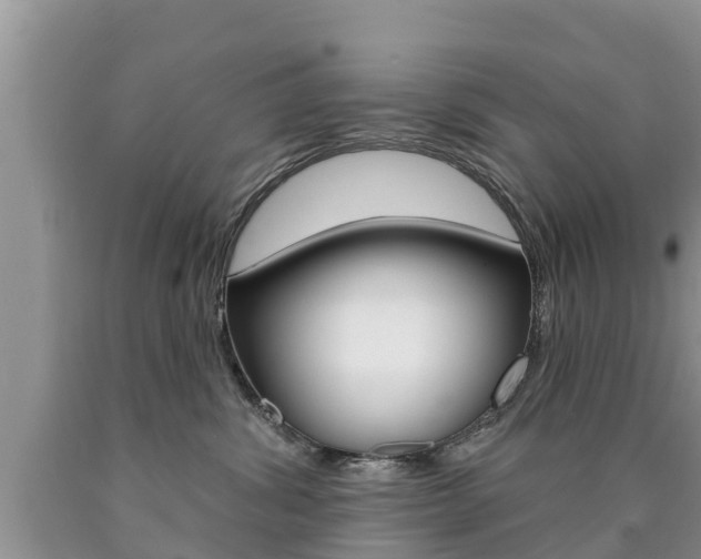 X0000090770428200707201118