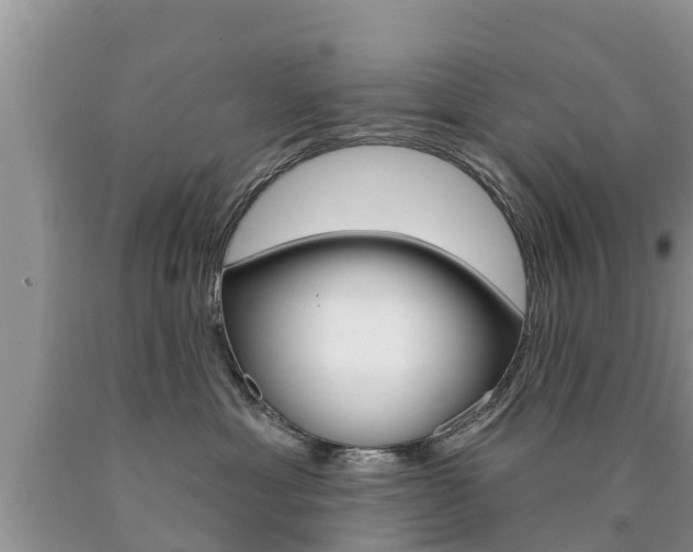 X0000090770429200707201118