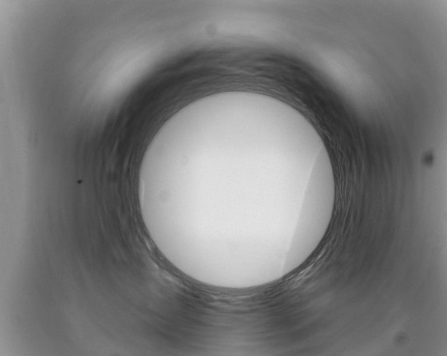 X0000090770431200707201118