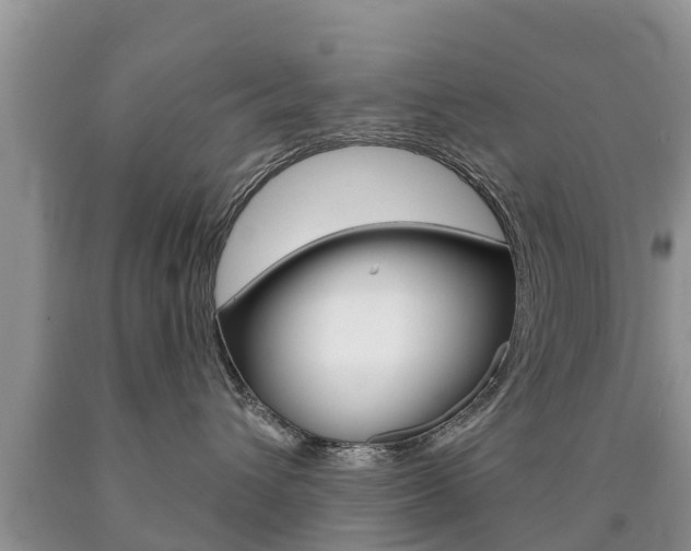 X0000090770432200707201118