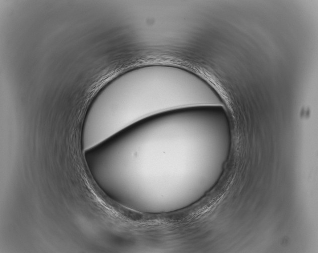 X0000090770433200707201117