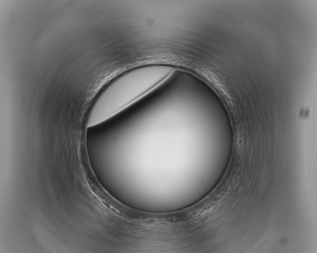 X0000090770434200707201117