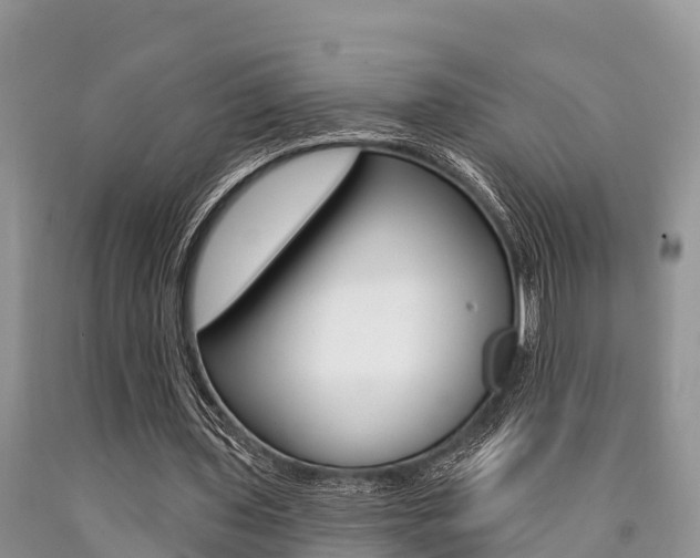 X0000090770435200707201117