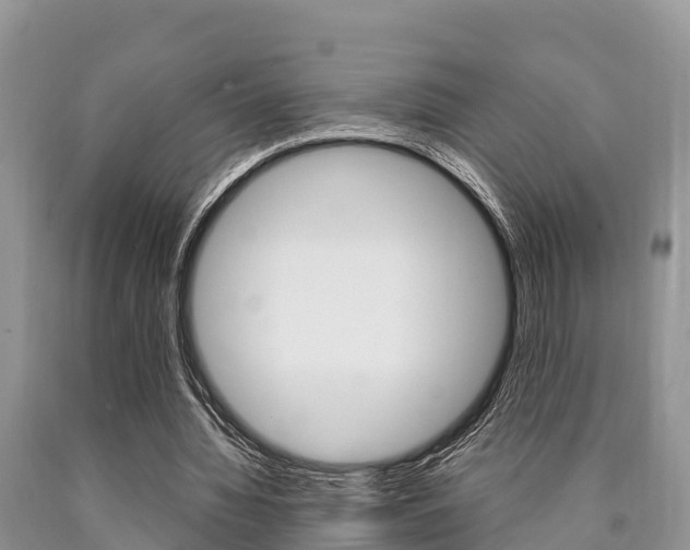 X0000090770436200707201117