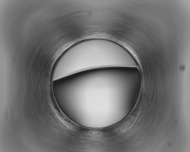 X0000090770437200707201117