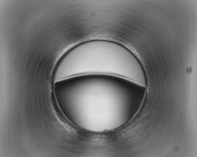 X0000090770438200707201117