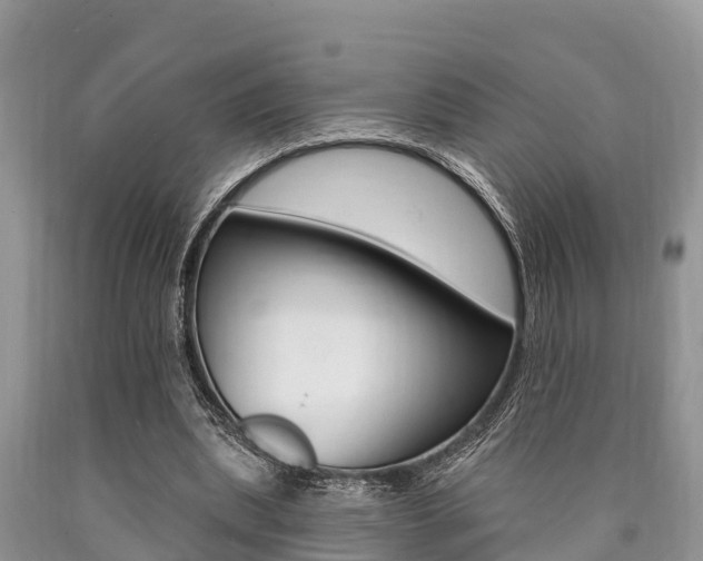 X0000090770439200707201117