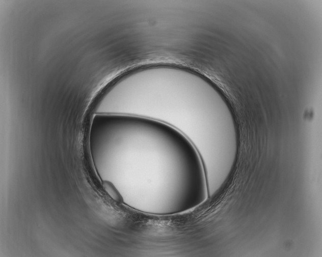 X0000090770440200707201117