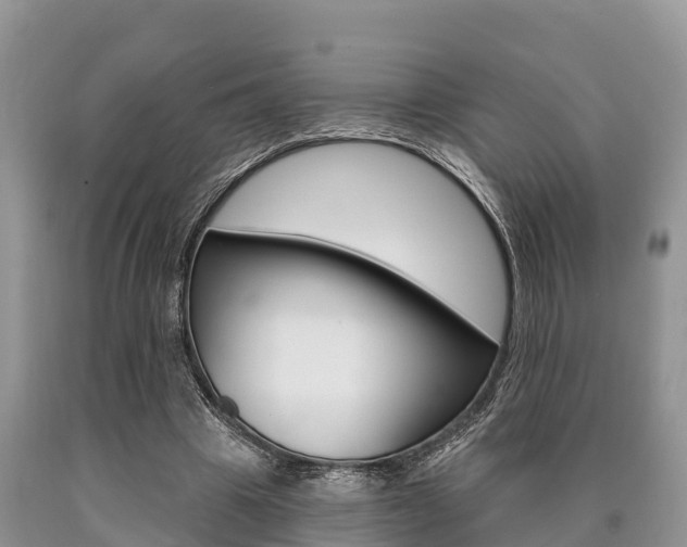 X0000090770441200707201117