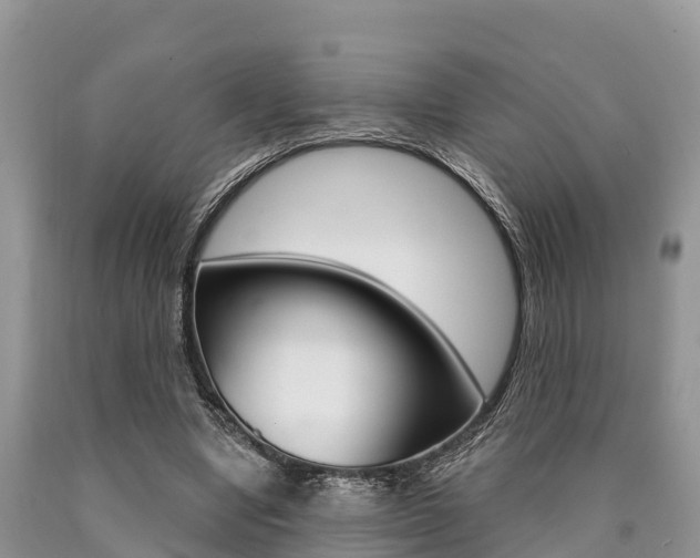 X0000090770442200707201117