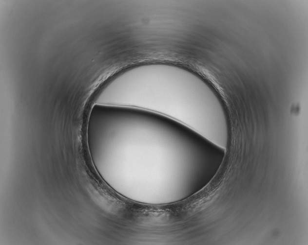 X0000090770443200707201117