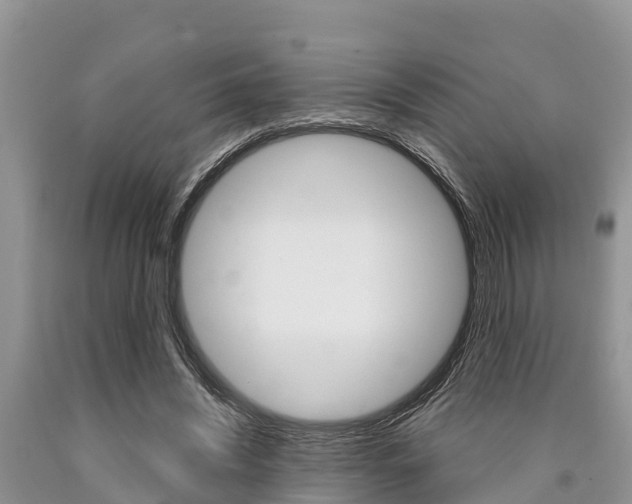 X0000090770444200707201117