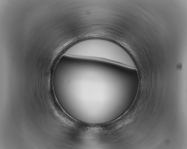 X0000090770446200707201117