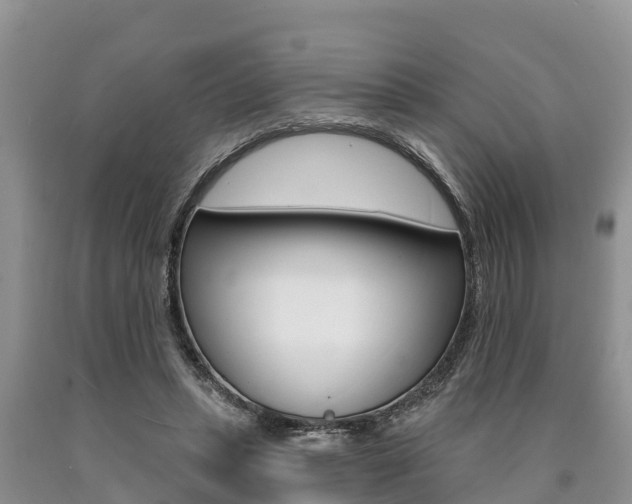 X0000090770447200707201117